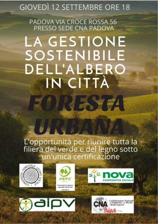 La gestione sostenibile dell’albero in città – Foresta Urbana